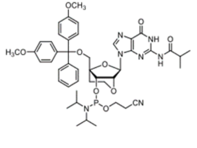 ENA-G (ibu) Phosphoramidite