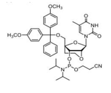 ENA-T Phosphoramidite