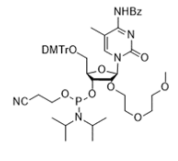 2'-MOEOE C amidite