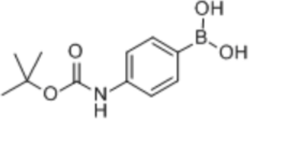 4-(Boc-氨基)苯硼酸