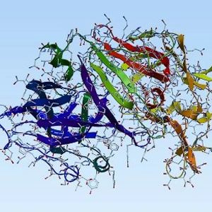 基质金属蛋白酶MMPs-ACROBiosystems百普赛斯