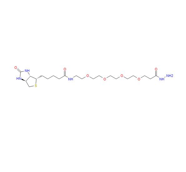生物素-PEG4-酰肼