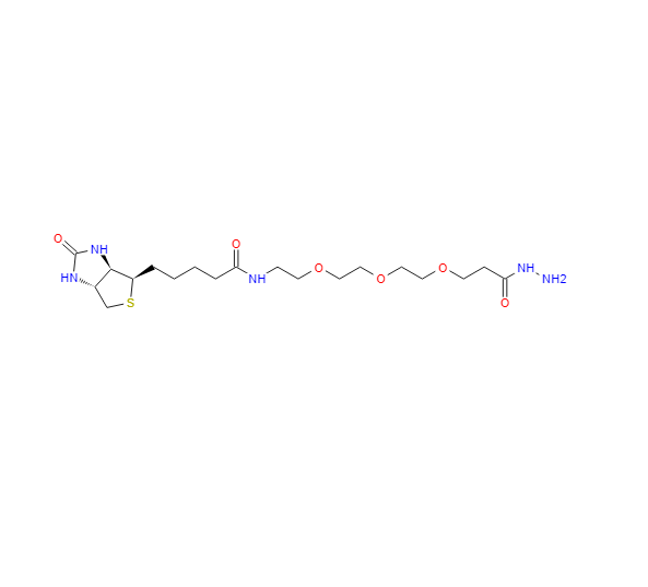 生物素-PEG3-酰肼 1381861-94-4