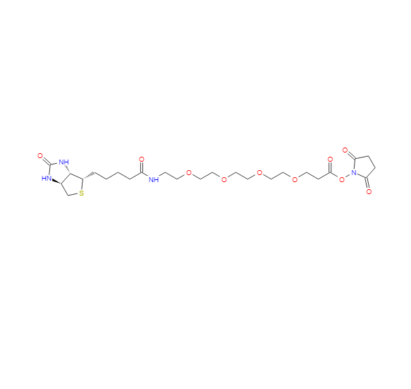 21-[(3AS,4S,6AR)-六氢-2-氧代-1H-噻吩并[3,4-D]咪唑-4-基]-17-氧代-4,7,10,13-四氧杂-16-氮杂二十一碳酸 2,5-二氧代-1-吡咯烷基酯