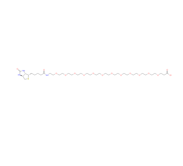 BIOTIN-十二聚乙二醇-丙酸