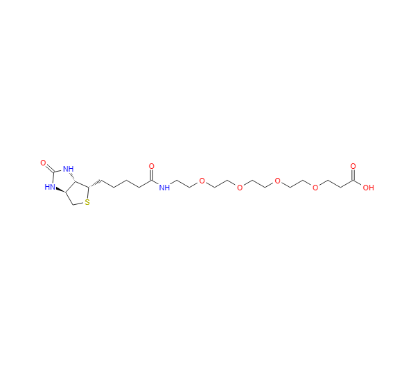 15-[D-(+)-生物素氨基]-4,7,10,13-四氧杂十五烷酸