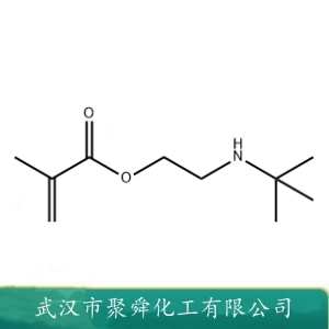 甲基丙烯酸叔丁基氨基乙酯 TBAEMA 3775-90-4 非水系统分散剂 乳化剂
