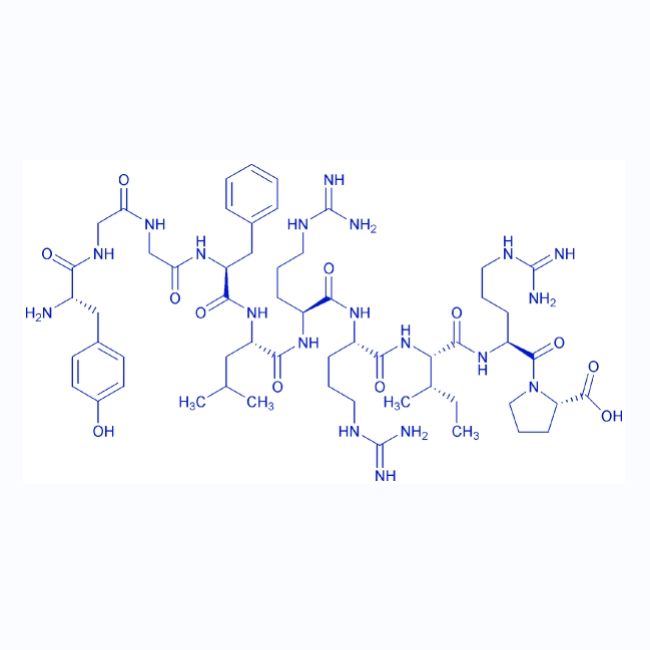 强啡肽A(1-10)/79994-24-4/Dynorphin A (1-10)