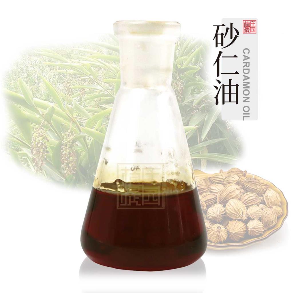 砂仁油 植物提取挥发油