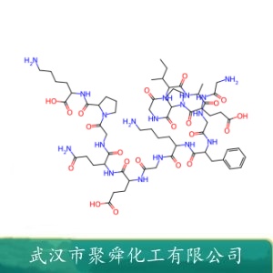 胶原蛋白 9064-67-9 高分子功能性蛋白质