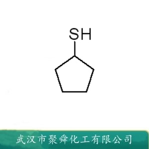  环戊硫醇 1679-07-8 香精香料 
