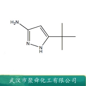 3-叔丁基-吡唑-5-胺 82560-12-1 有机原料