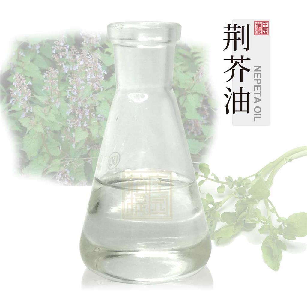 荆芥油 植物提取荆芥精油