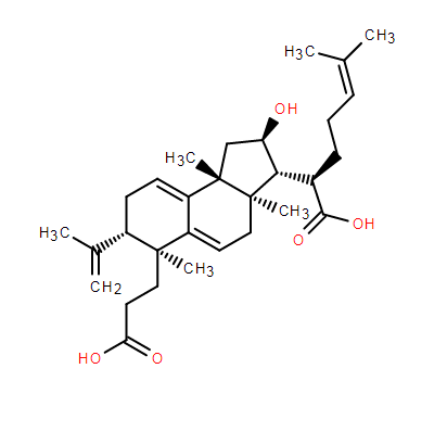 茯苓酸B  137551-39-4