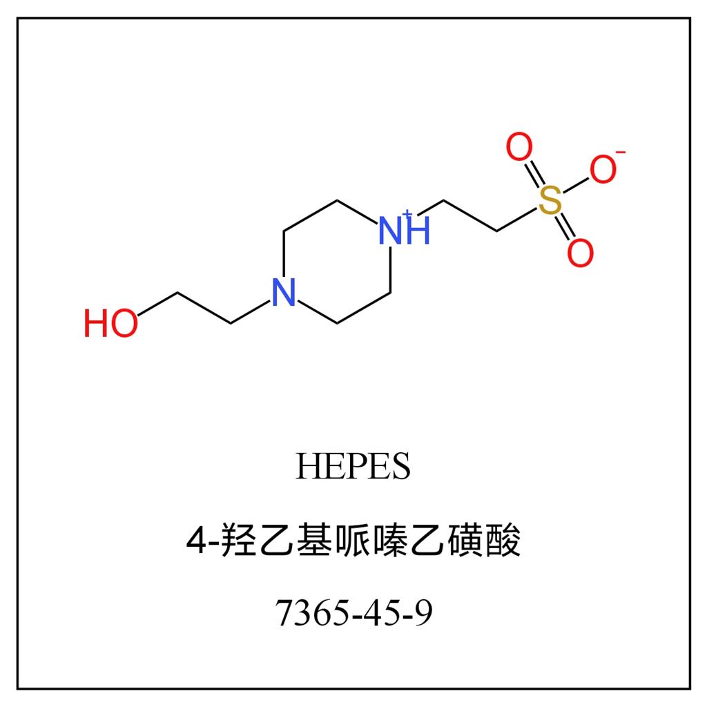 羟乙基哌嗪乙磺酸，HEPES