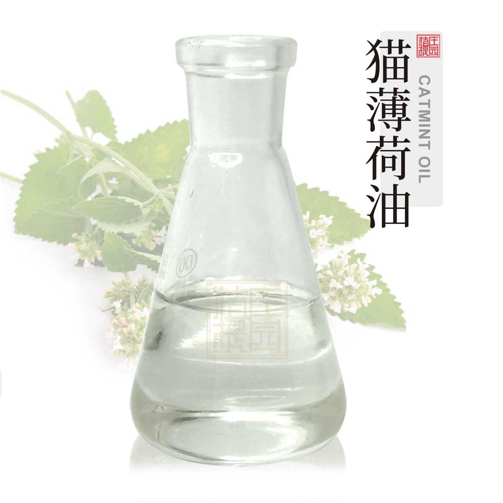 猫薄荷油 植物提取单方精油