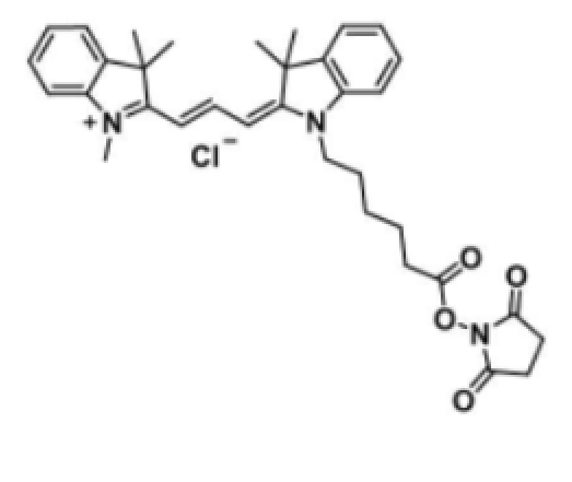 1032678-38-8 脂溶性CY3-NHS酯