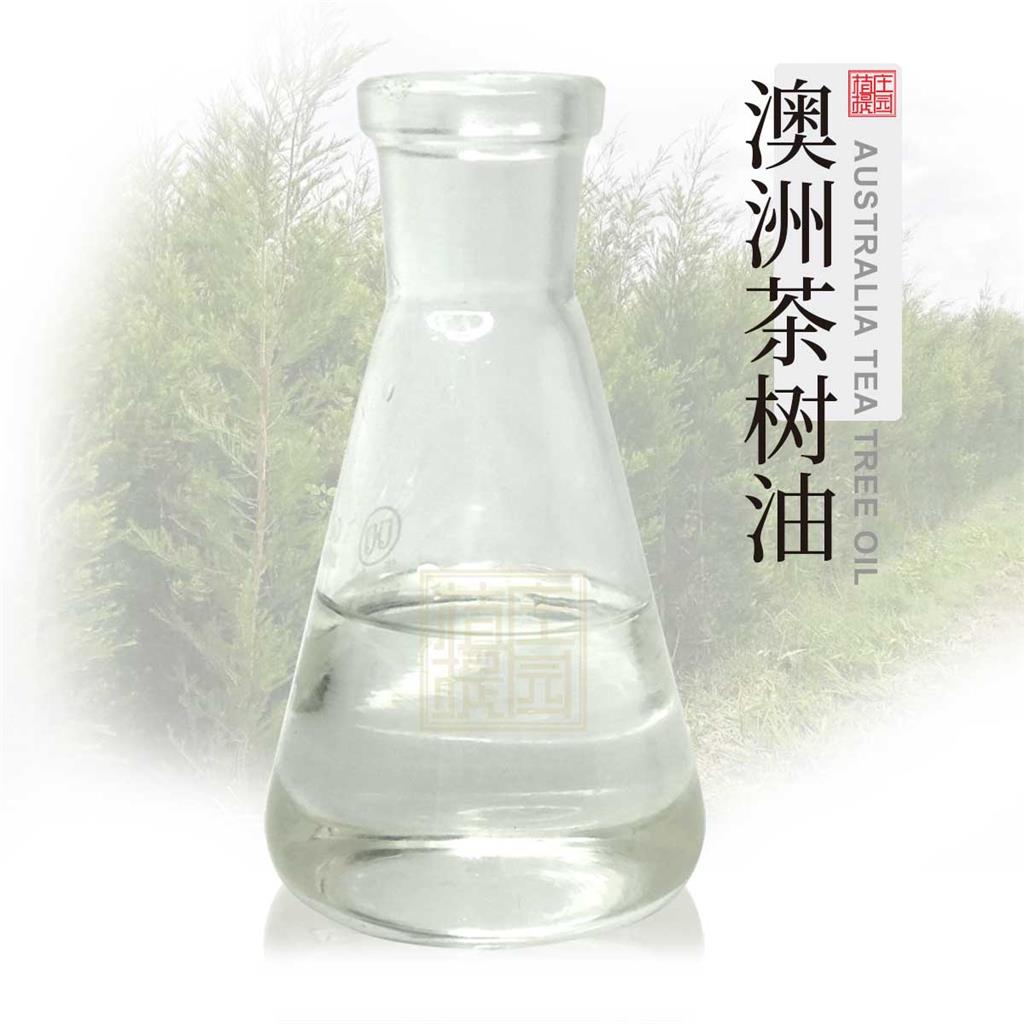 澳洲茶树油 植物提取单方精油