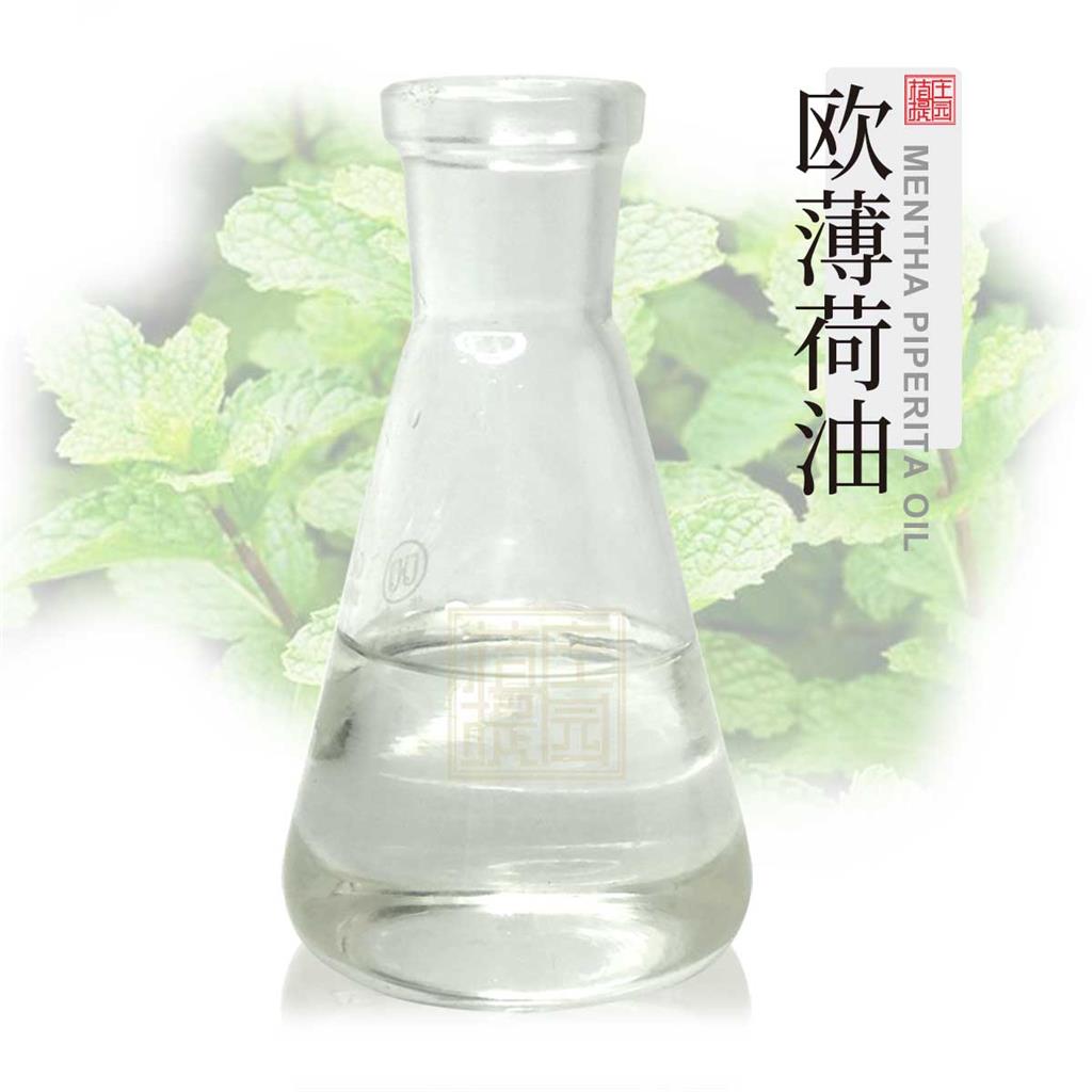 欧薄荷油 植物提取薄荷精油