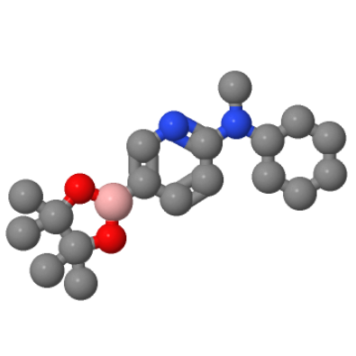 6-[环己基(甲基)氨基]嘧啶-3-硼酸频哪醇酯；1073354-73-0