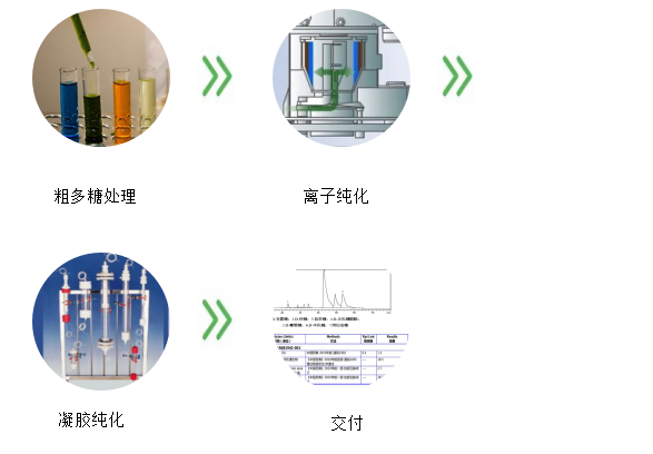 多糖分离纯化服务