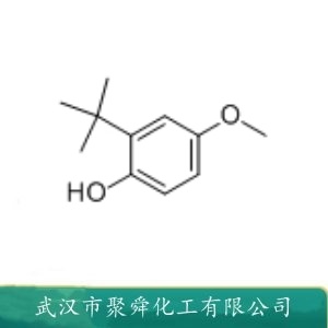 2-叔丁基-4-甲氧基苯酚 121-00-6 橡胶 石油制品抗氧剂