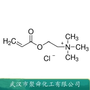 丙烯酰氧乙基三甲基氯化铵 44992-01-0 污泥脱水絮凝剂 纤维着色剂