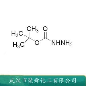 叔丁氧羰基肼 870-46-2 蛋白酶抑制剂 中间体