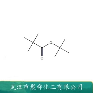 特戊酸叔丁酯 16474-43-4 石油添加剂 有机原料