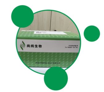 T7 High Yield RNA Transcription Kit（T7高产量RNA转录试剂盒）