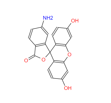 6-氨基荧光素