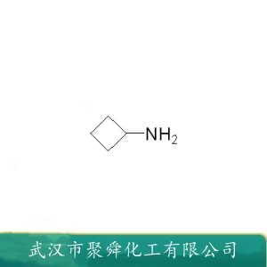 环丁基胺 2516-34-9 从二卤代吡啶合成7-吖吲哚的有机合成