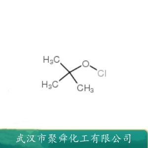 次氯酸叔丁酯 507-40-4 有机原料 生化试剂