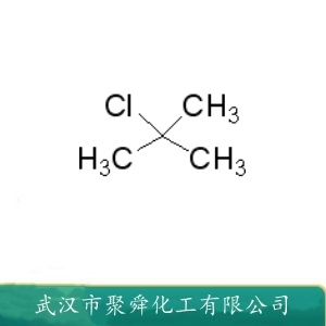 氯代叔丁烷 507-20-0 溶剂 有机合成原料