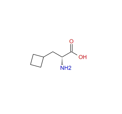 D-环丁基丙氨酸 174266-00-3