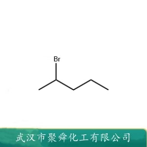 2-溴戊烷 107-81-3 有机合成中间体 