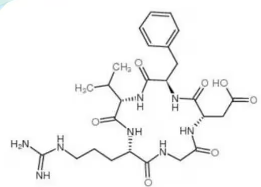 cyclo (Arg-Gly-Asp-Tyr-Val)