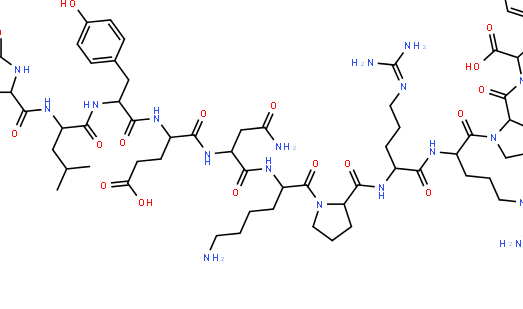 活性依赖的神经保护肽抗体