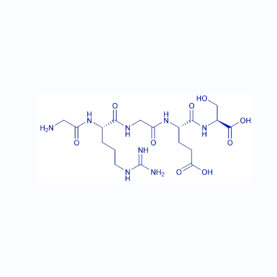 纤连蛋白活性多肽片段/97461-84-2/Fibronectin Active Fragment Control