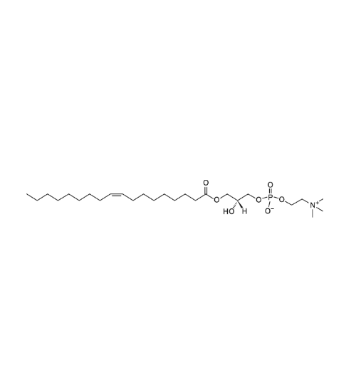 1-Oleoyl-sn-glycero-3-phosphocholine