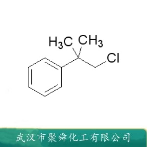 氯代叔丁基苯 515-40-2 有机合成 中间体