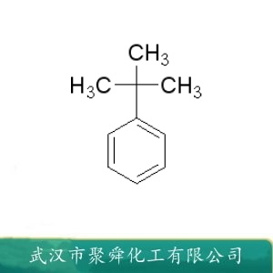 叔丁基苯 98-06-6 色谱分析标准物质 有机合成