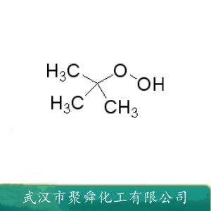 叔丁基过氧化氢 75-91-2 TBHP 作交联剂 引发剂