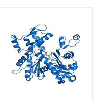 Amyloid?β-Protein?(5-42)    1678415-97-8