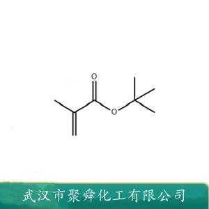 甲基丙烯酸叔丁酯 TBMA 585-07-9 织物处理剂 绝缘材料等