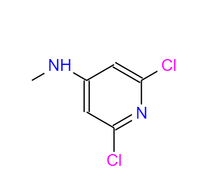 2,6 - 二氯-N-甲基吡啶-4 - 胺