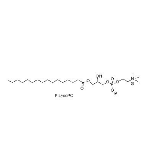 P-LysoPC