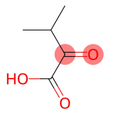 二甲基丙酮酸