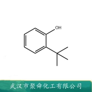 邻叔丁基苯酚 88-18-6 用于抗氧化剂 植物保护剂