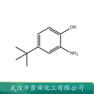 2-氨基-4-叔丁基酚 1199-46-8 制造荧光增白剂 感光材料等